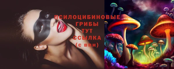 мдма Гусев