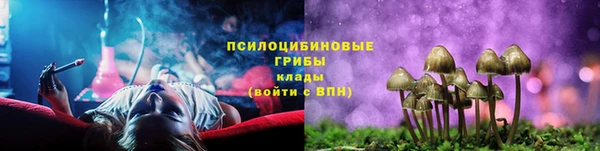 мдма Гусев