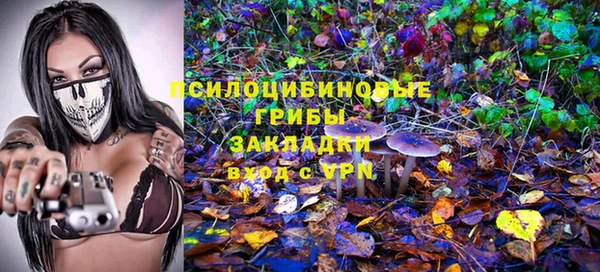 мдма Гусев