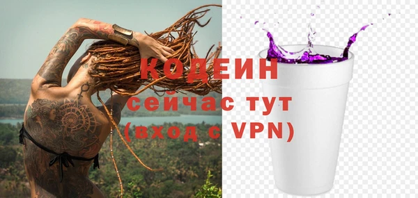 a pvp Гусь-Хрустальный