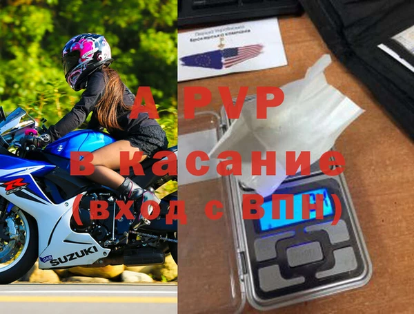 сатива Дубовка